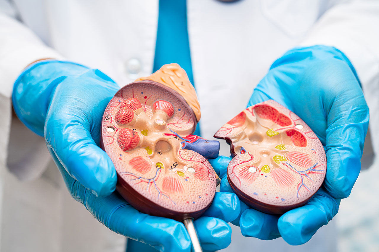mitos urologia